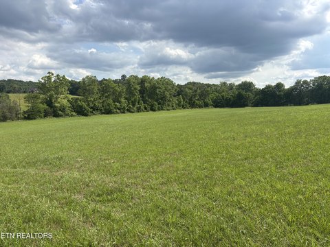 Cleared Acreage in Lenoir City