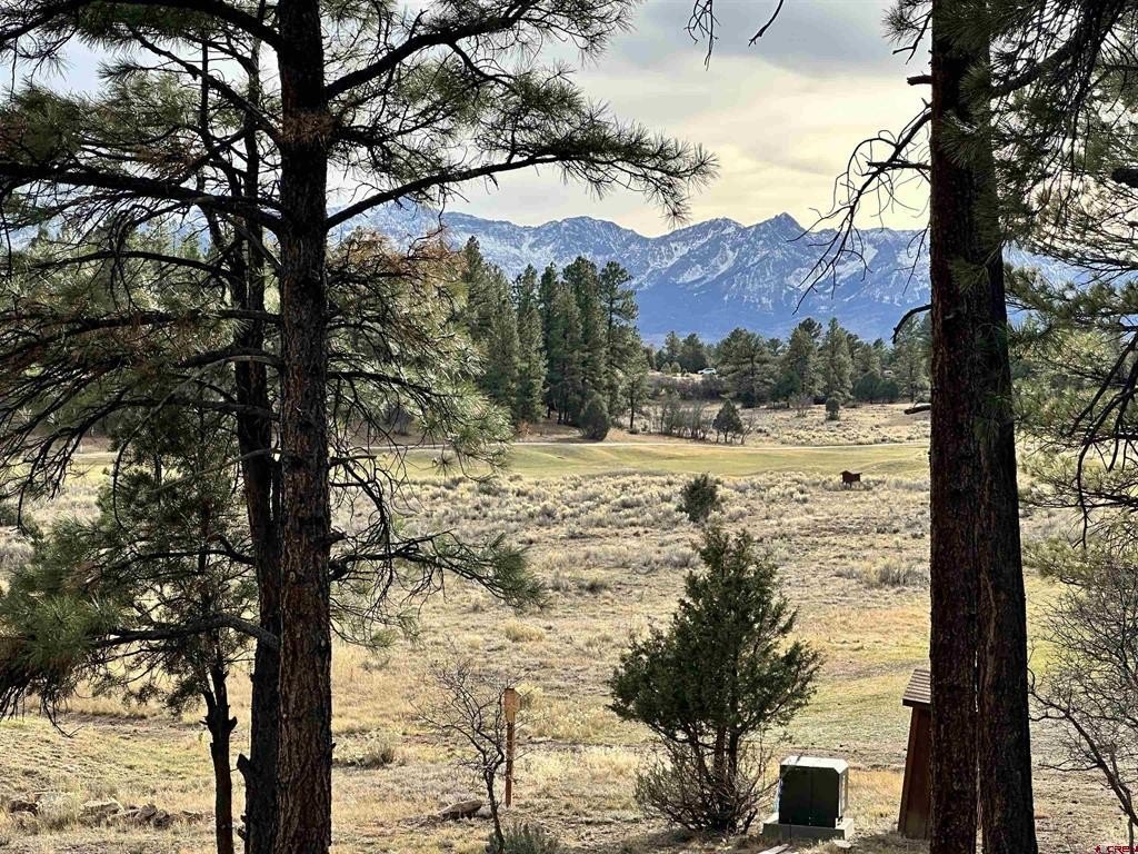 Ridgway, CO Land For Sale