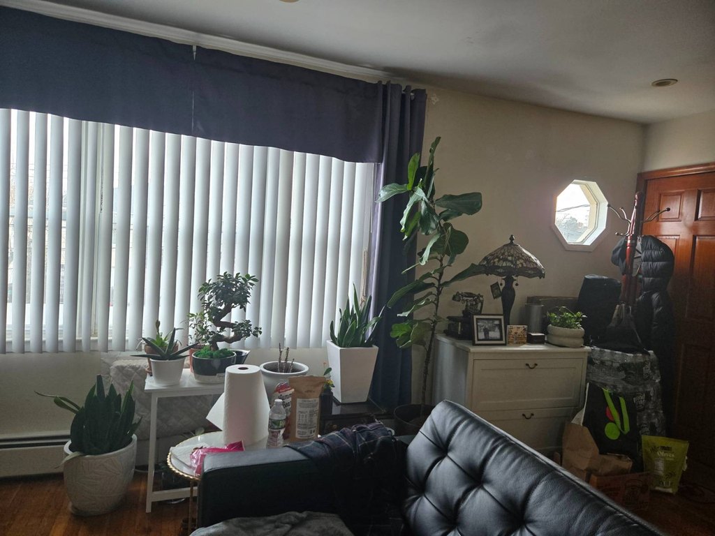 Picture 11