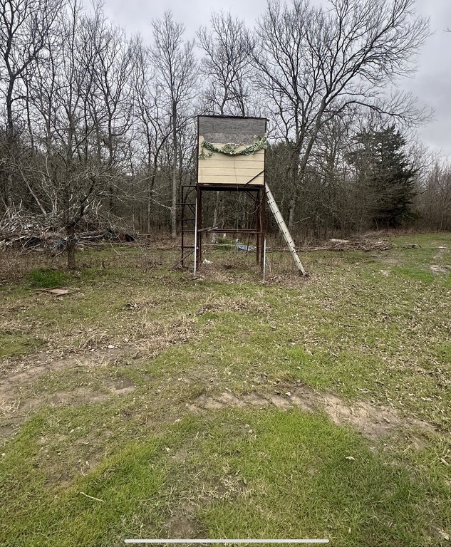 Picture 3