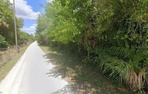 Residential Land Parcel with Wetlands