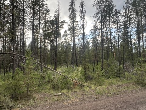 Land, Bend, OR
