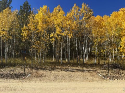 Land, Ward, CO