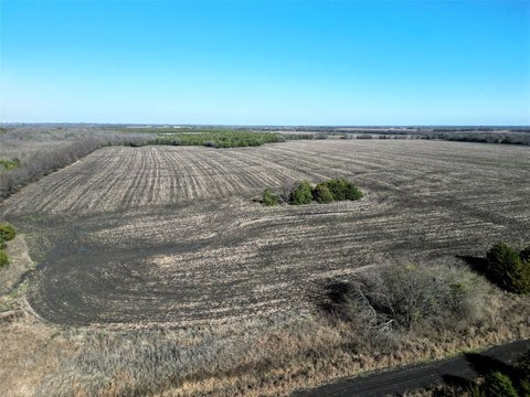 Ag-Exempt Land with Road Frontage