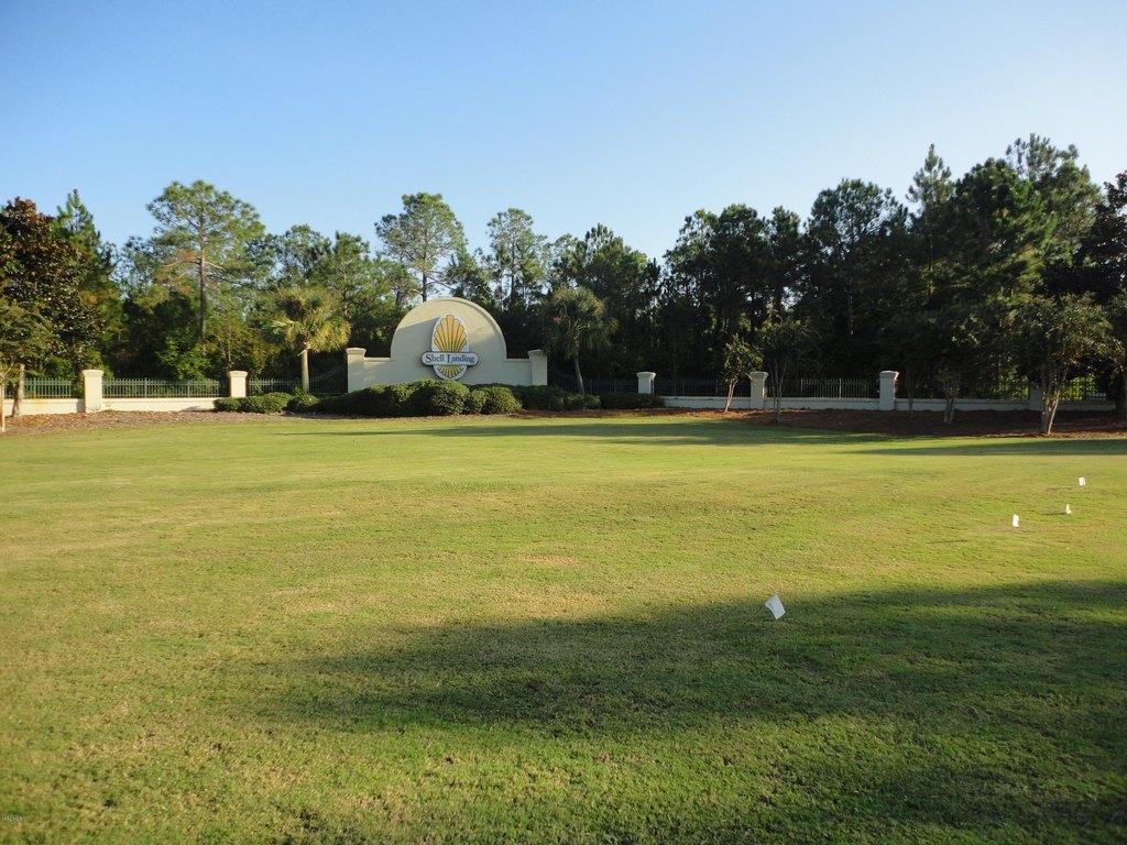 Picture 5