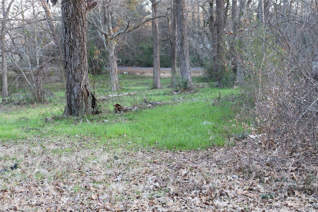 Picture 11
