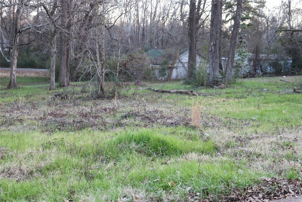 Picture 12