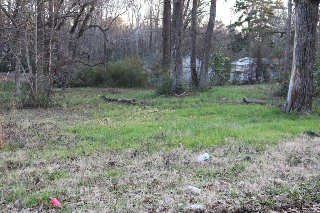 Picture 4