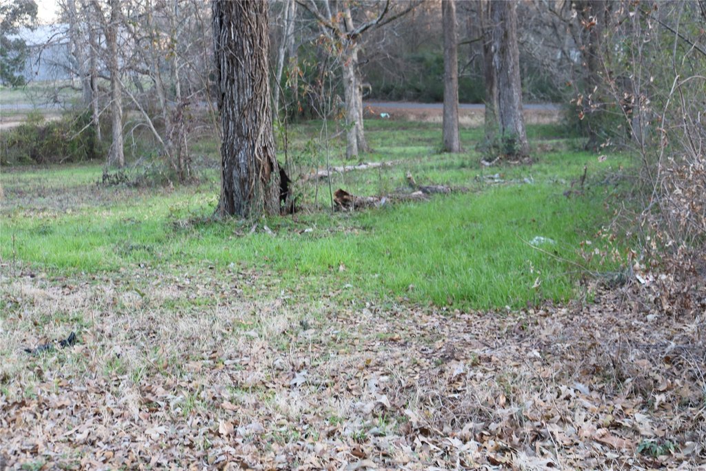 Picture 10