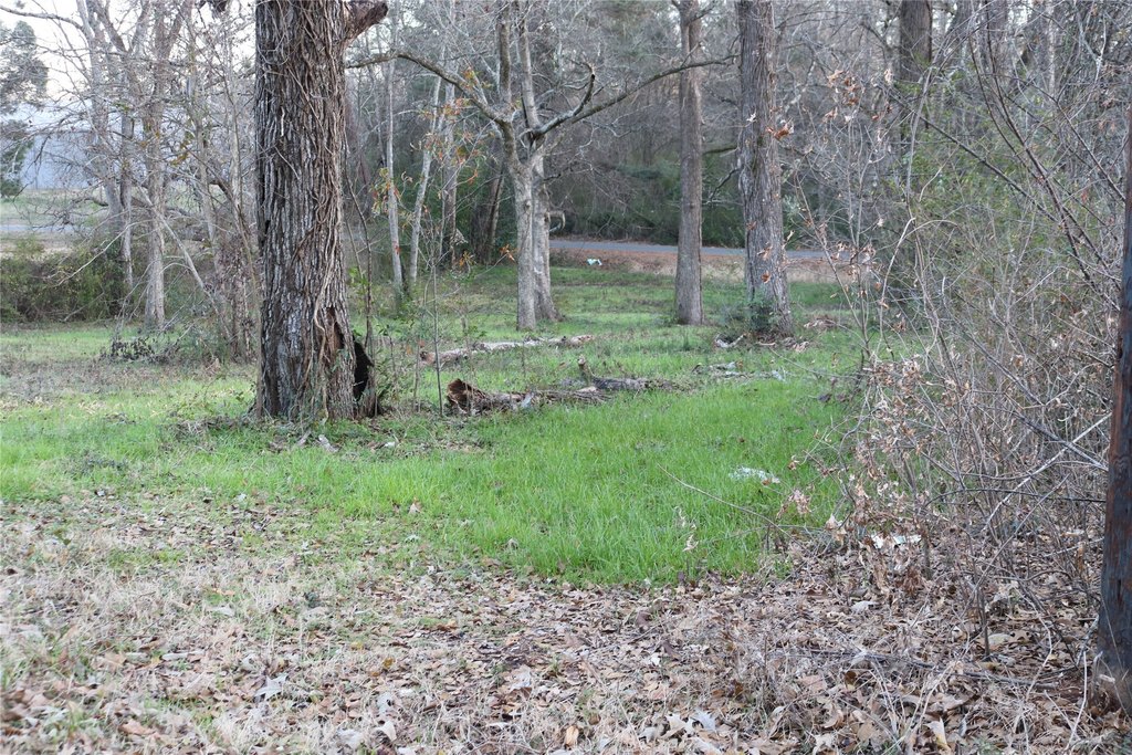 Picture 17