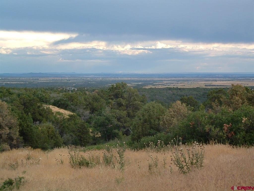 Picture 7