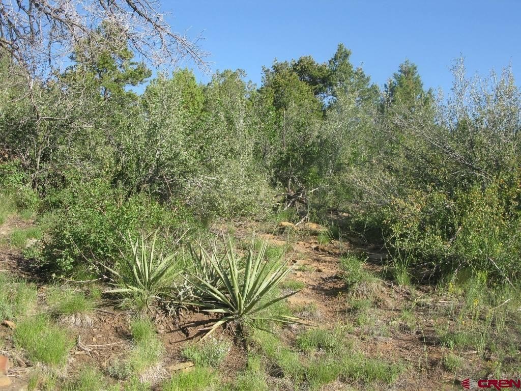 Picture 11