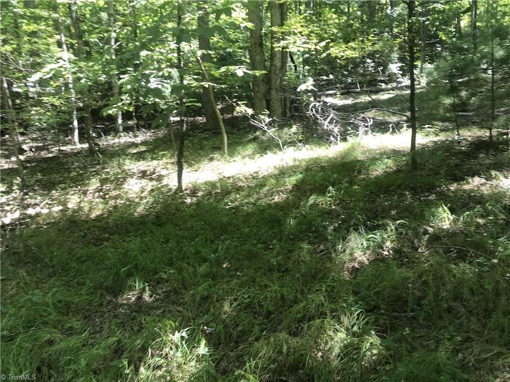 Picture 8
