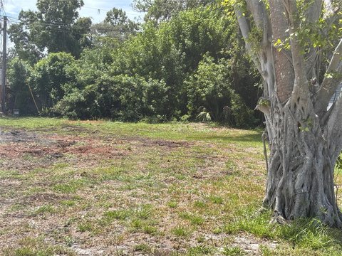 Land, ST PETERSBURG, FL