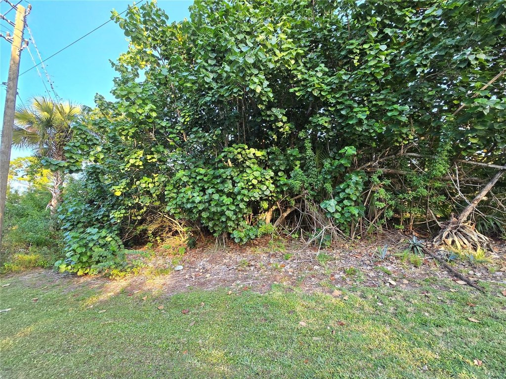 Picture 14