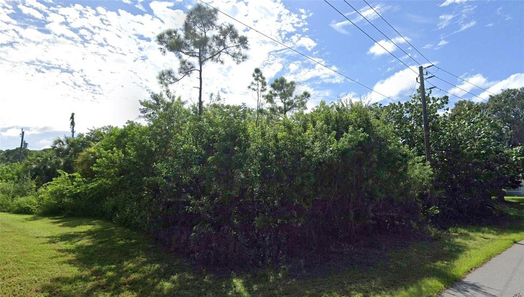 Picture 15