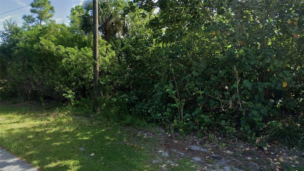 Picture 16