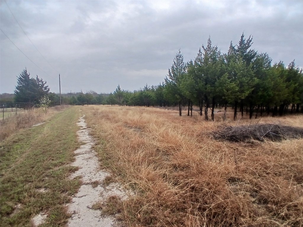Picture 8