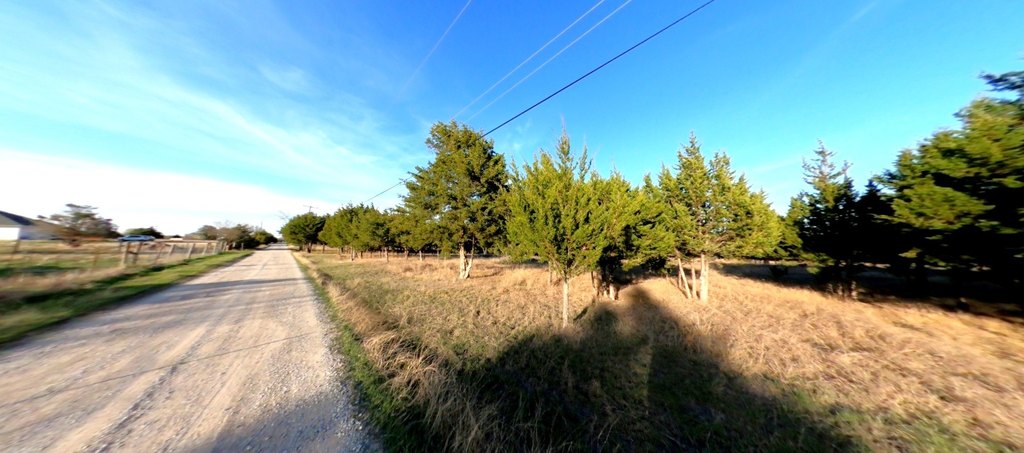 Picture 14