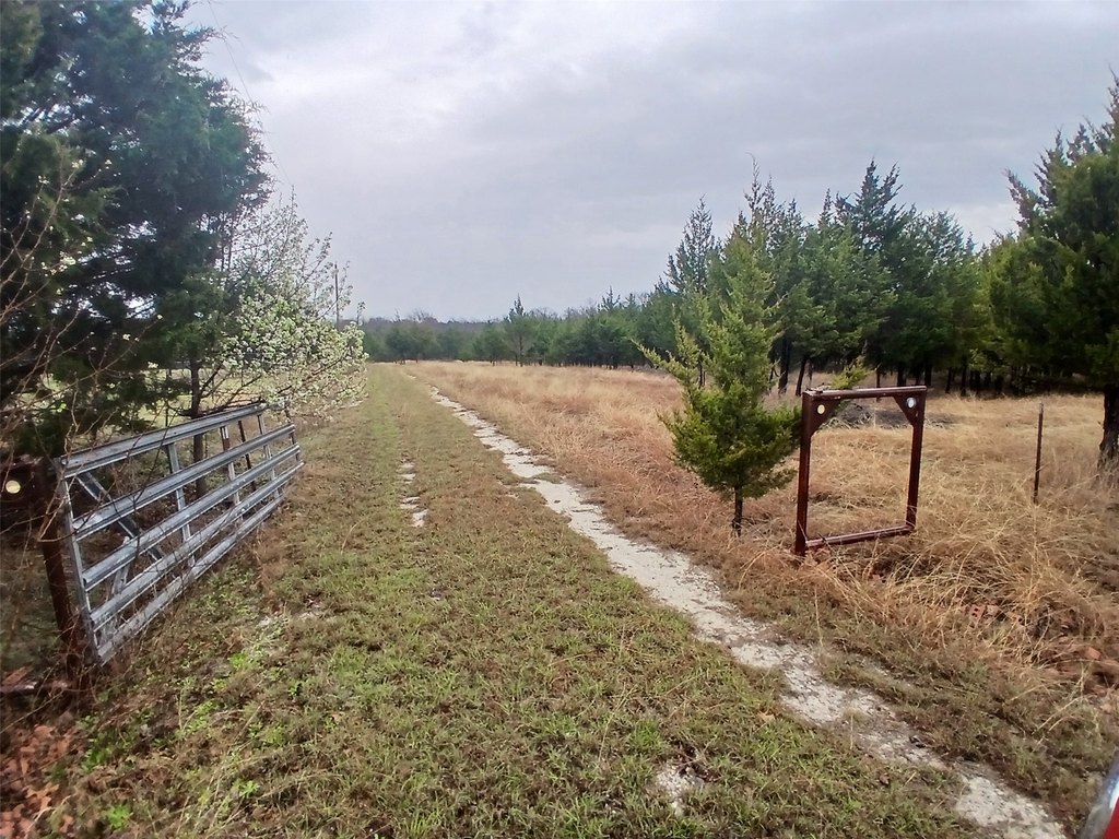 Picture 15