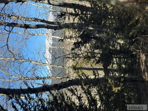 Island Park Treed Double Lot