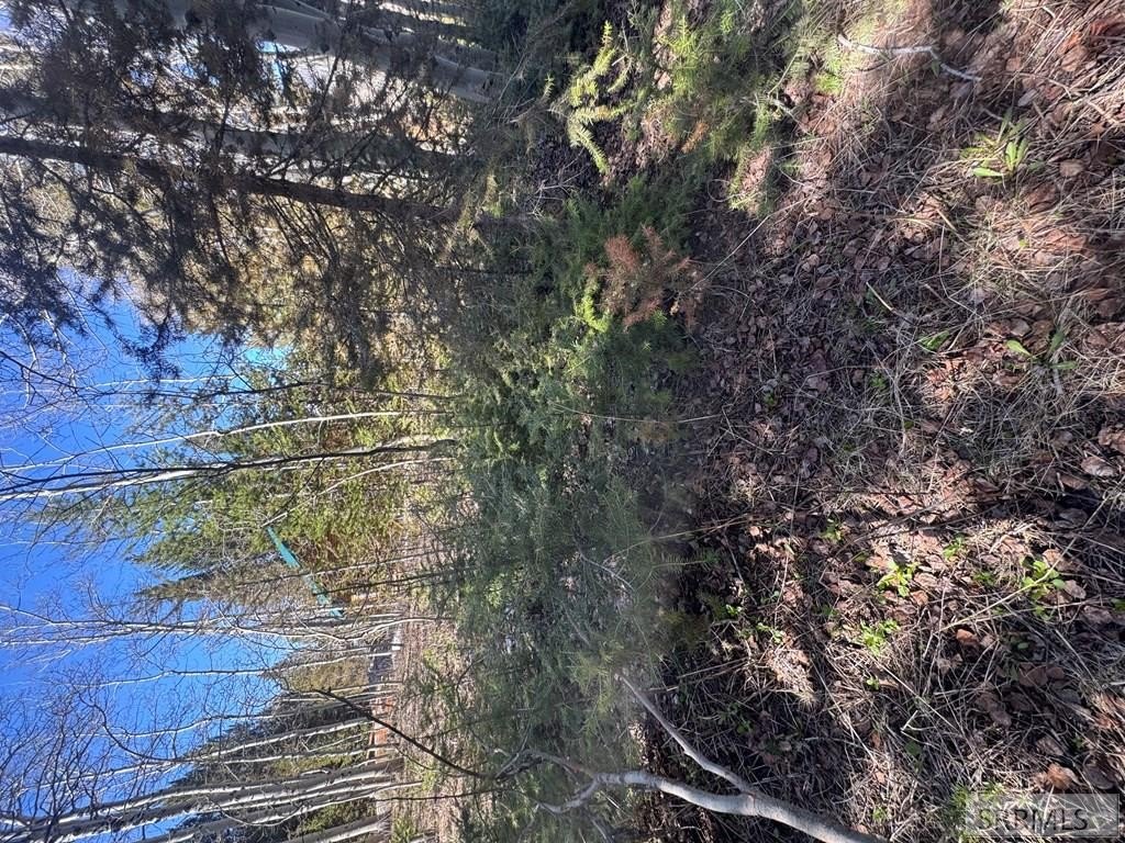 Picture 19