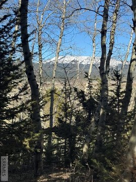 Island Park Treed Double Lot
