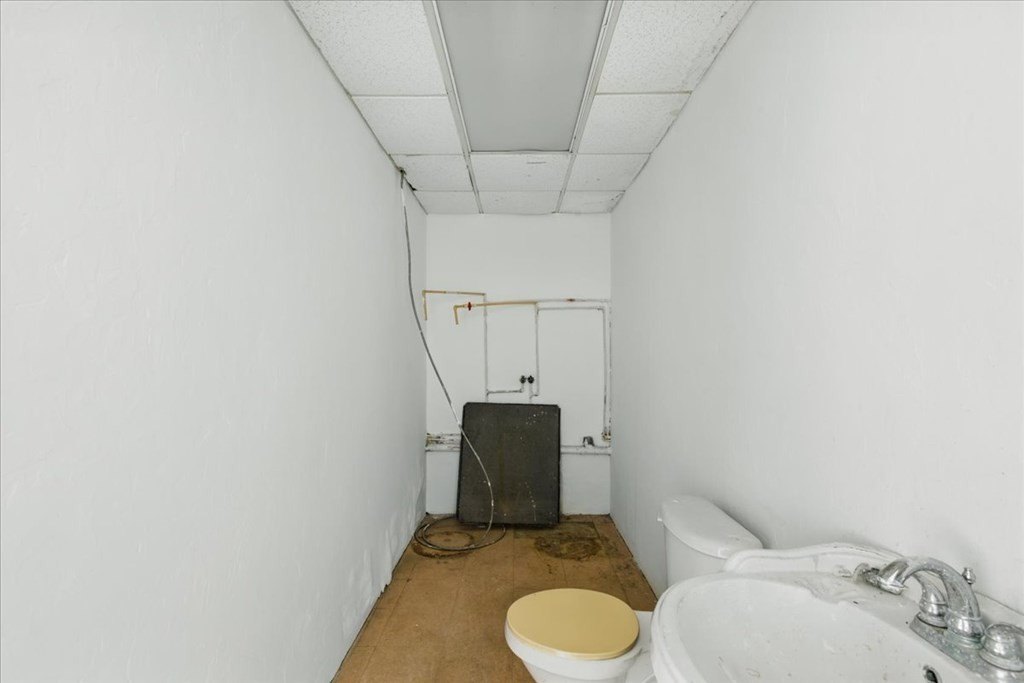 Picture 5