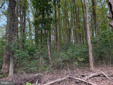 Land, BENTONVILLE, VA