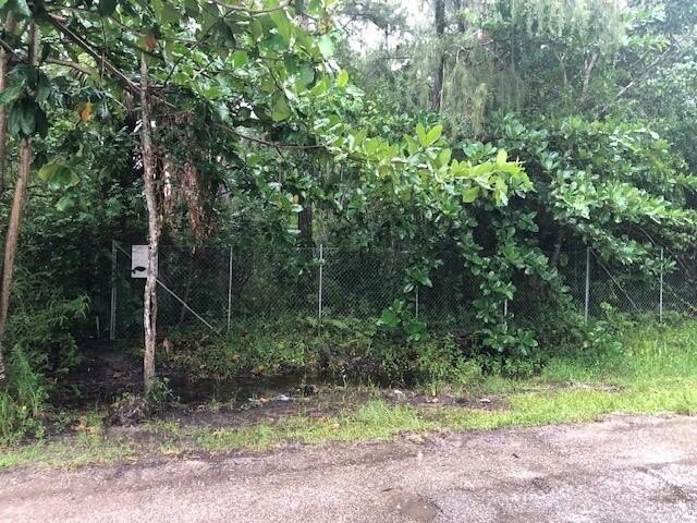 Picture 8