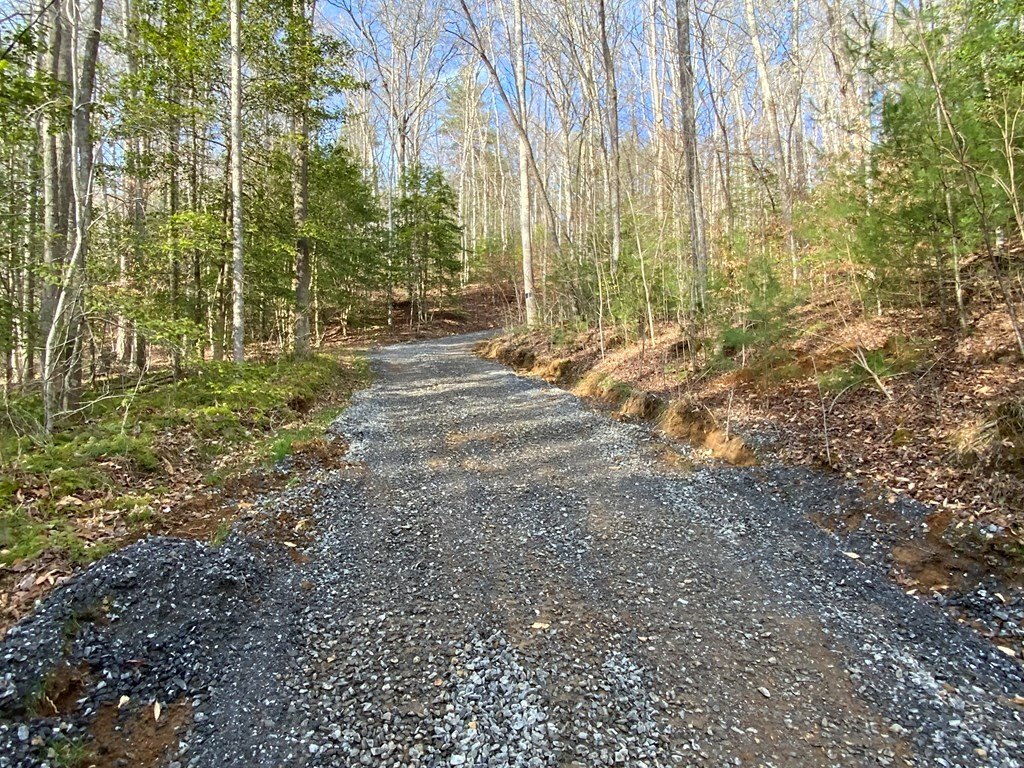 Picture 8