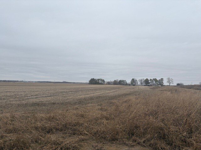 Picture 6