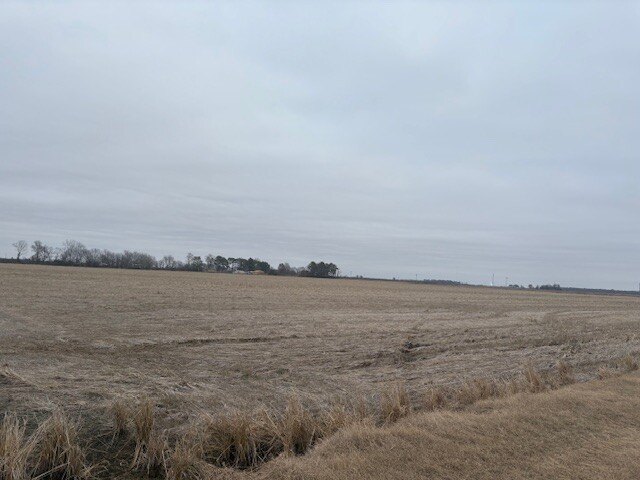 Picture 4