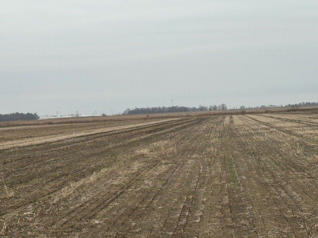 Picture 7