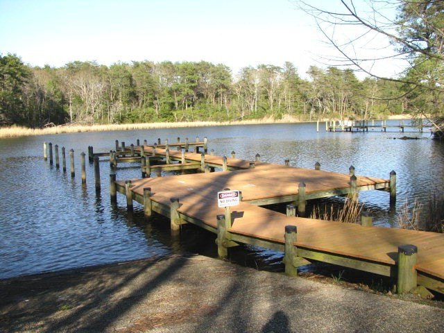 Picture 8