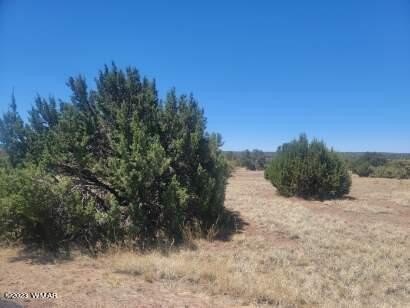 LAND - Show Low, AZ