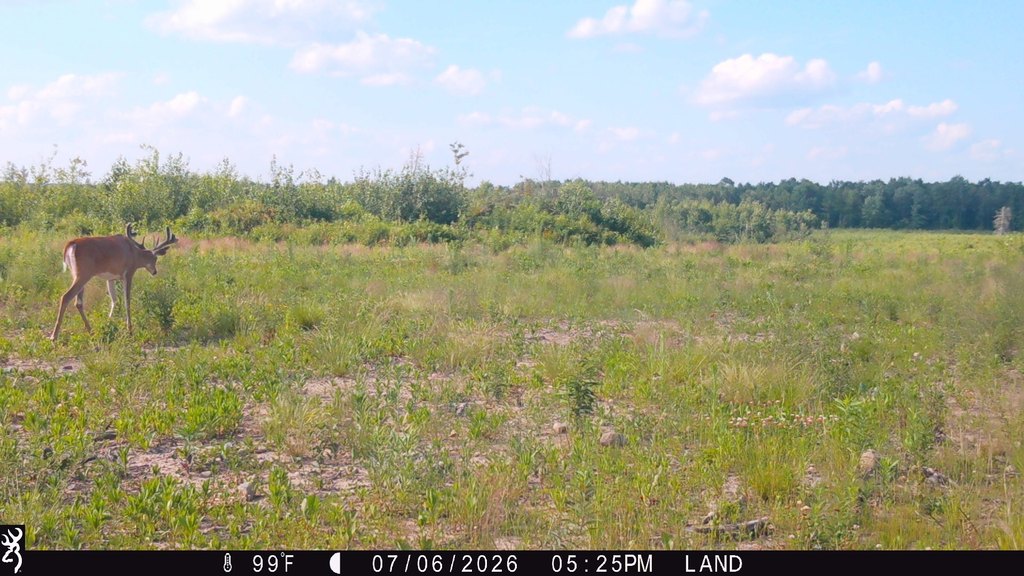 Picture 10