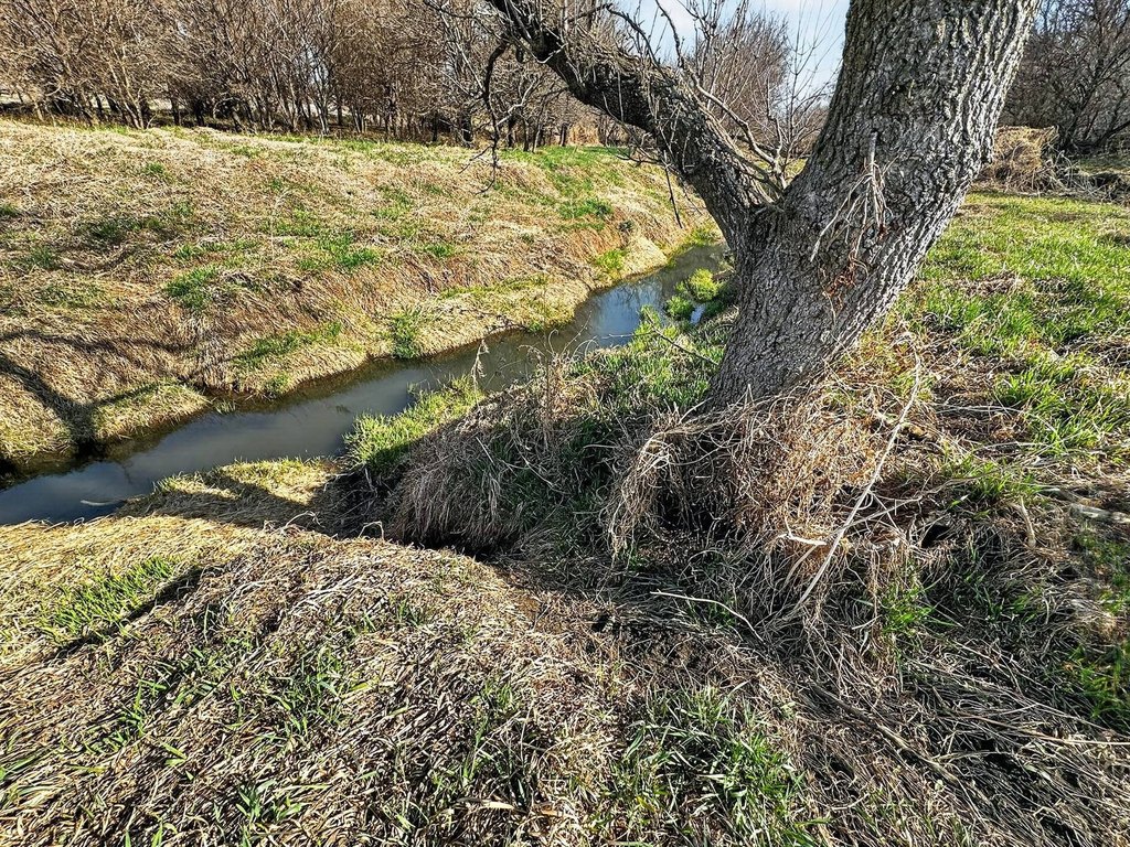 Picture 15