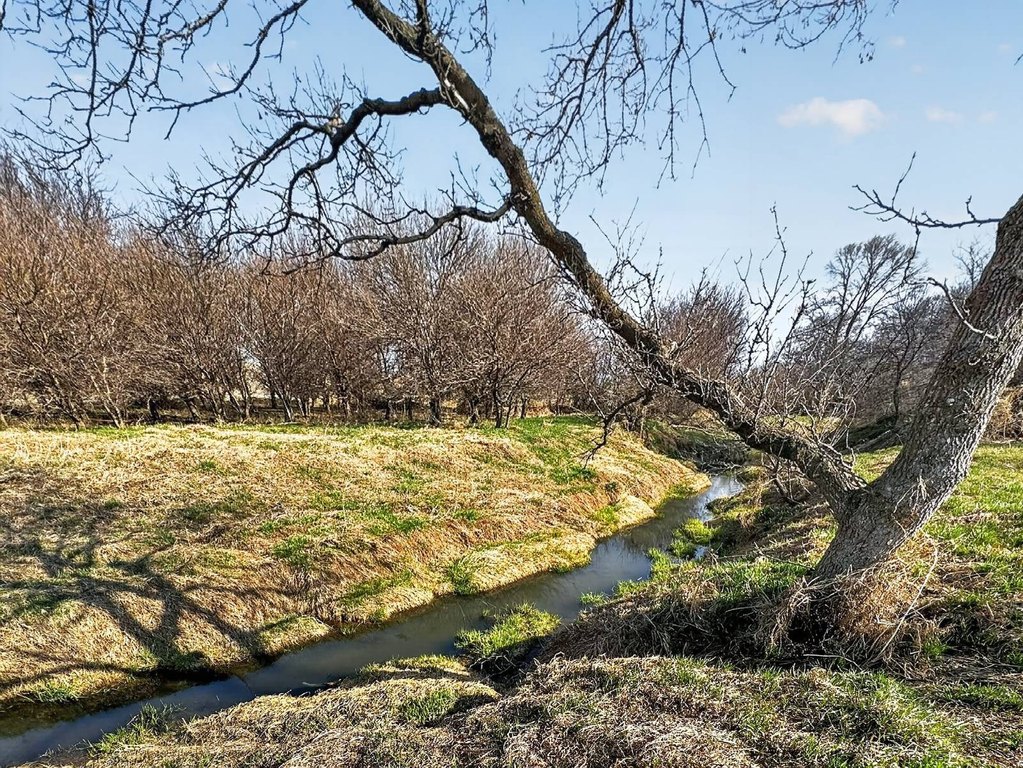 Picture 9