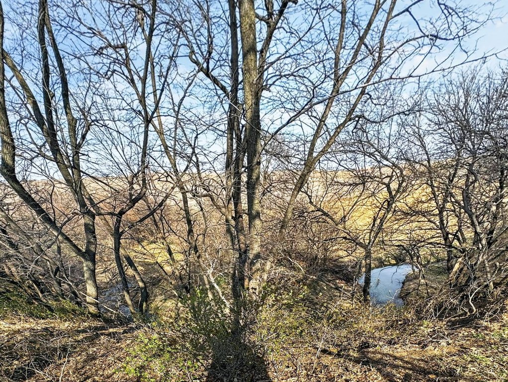 Picture 17