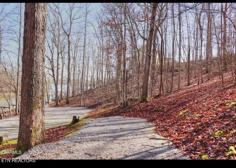 LAND - Rockwood, TN