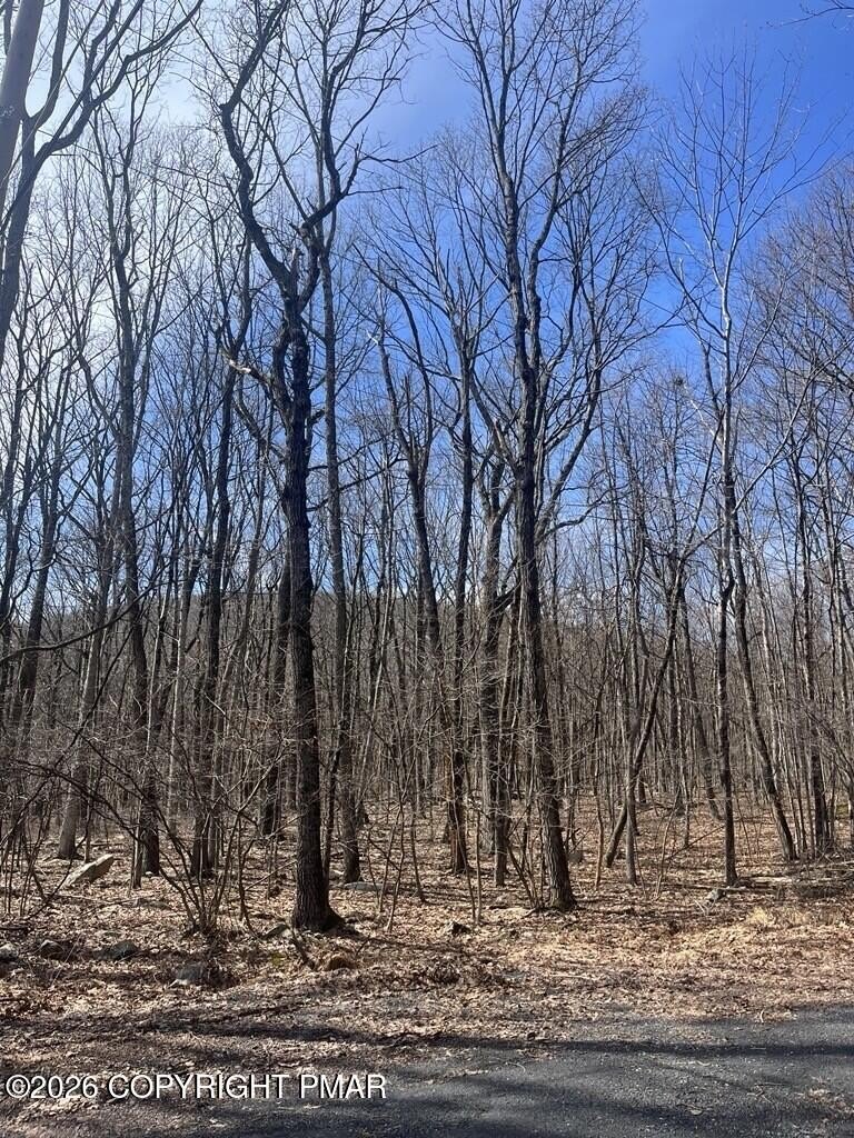 Wooded Lot Near Beltzville Lake