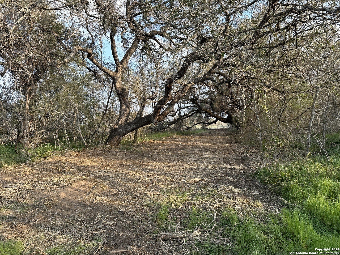 Floresville Land For Sale