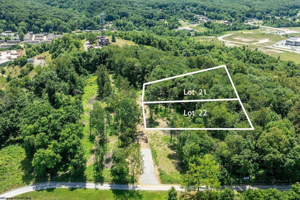 Picture 4