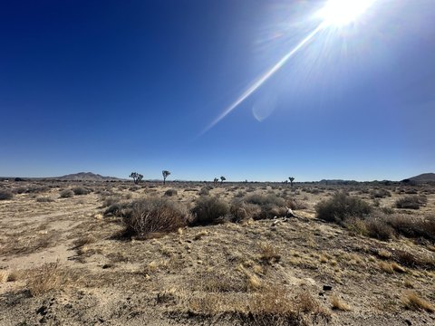 20 Acres Vacant Land Lancaster