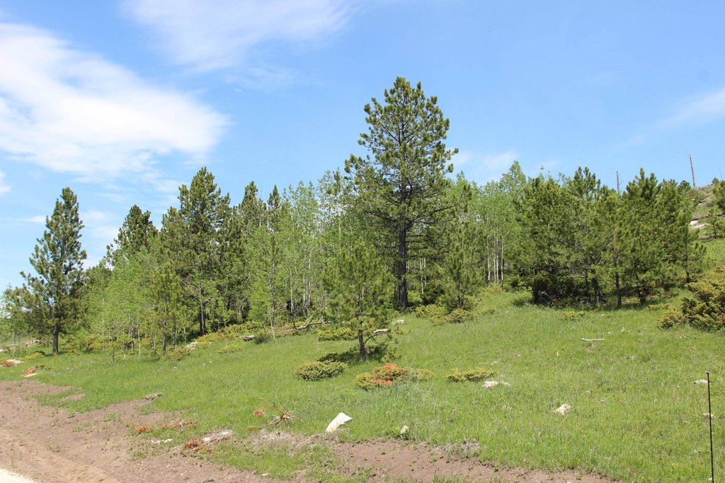 Picture 11