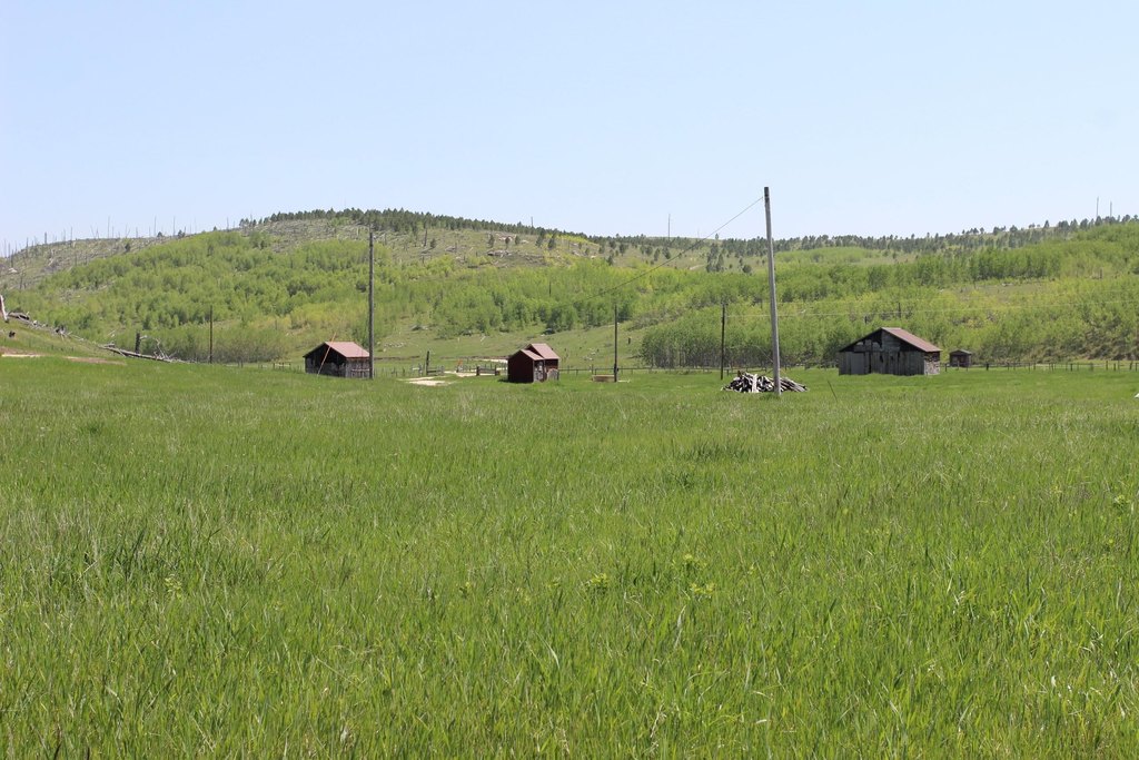 Picture 8