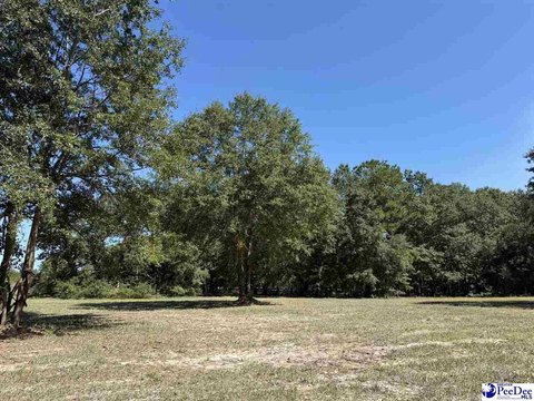 Land, Dillon, SC