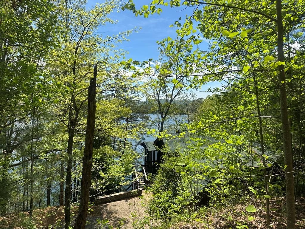 Wooded Lot with Lake Access