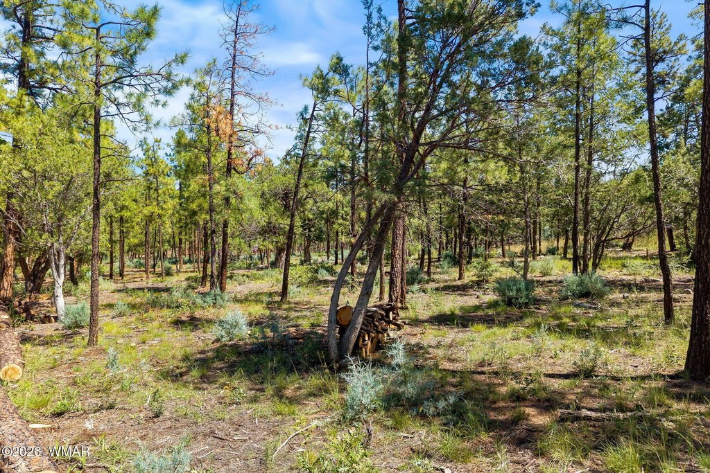 Picture 13